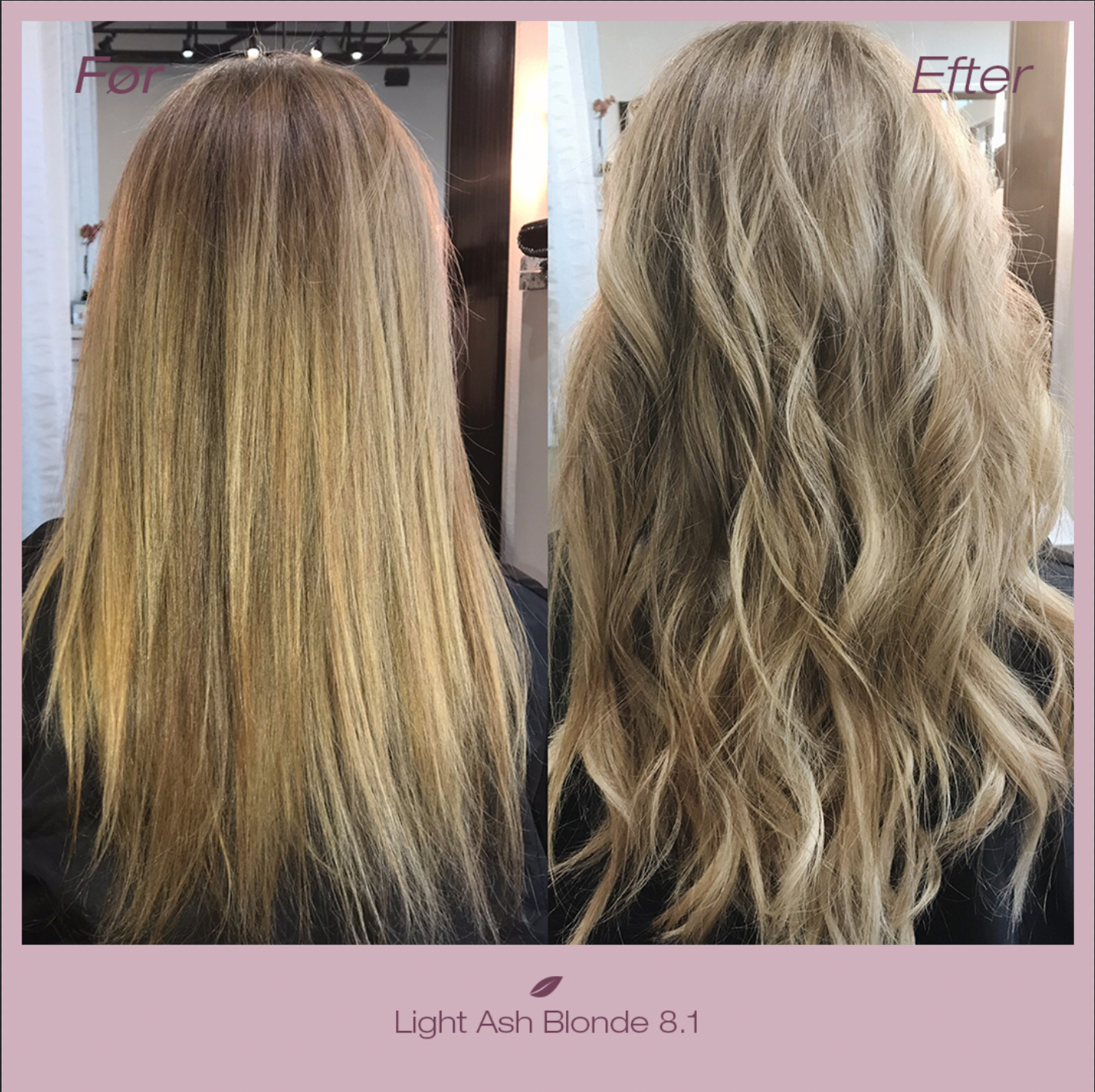 Light Ash Blonde 8.1