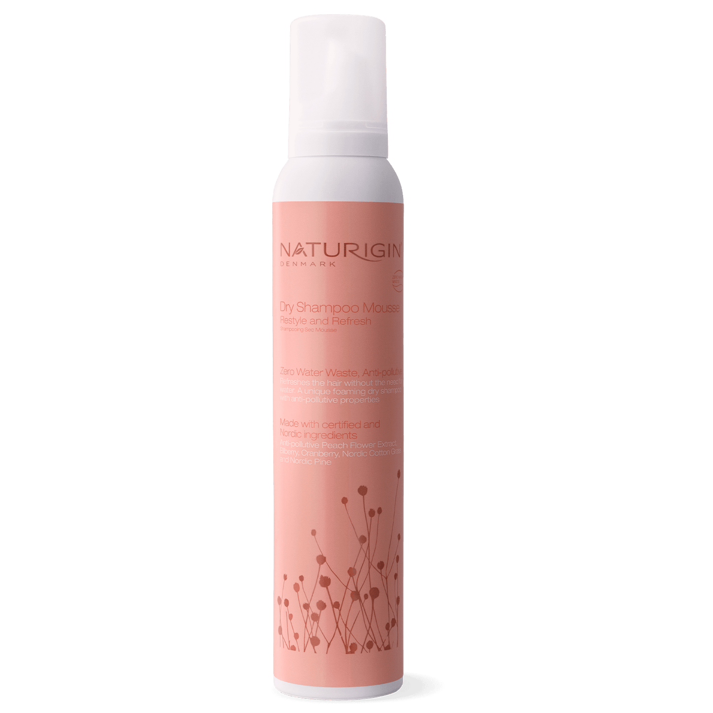 Dry Shampoo Mousse